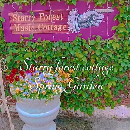 Cats,Piano & Starry Sky Resort Garden -Starry Forest Cottage Okinawa- Onna Dış mekan fotoğraf