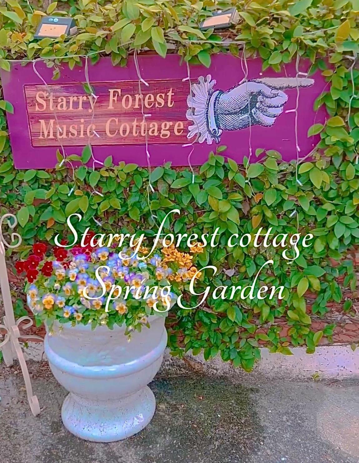Cats,Piano & Starry Sky Resort Garden -Starry Forest Cottage Okinawa- Onna Dış mekan fotoğraf