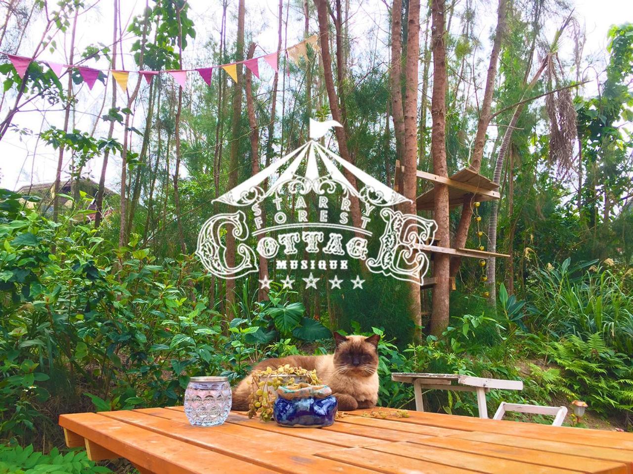 Cats,Piano & Starry Sky Resort Garden -Starry Forest Cottage Okinawa- Onna Dış mekan fotoğraf